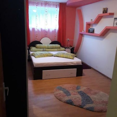 Casa Ade Apartment Calimanesti Luaran gambar