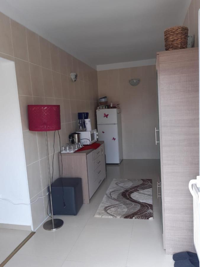 Casa Ade Apartment Calimanesti Luaran gambar