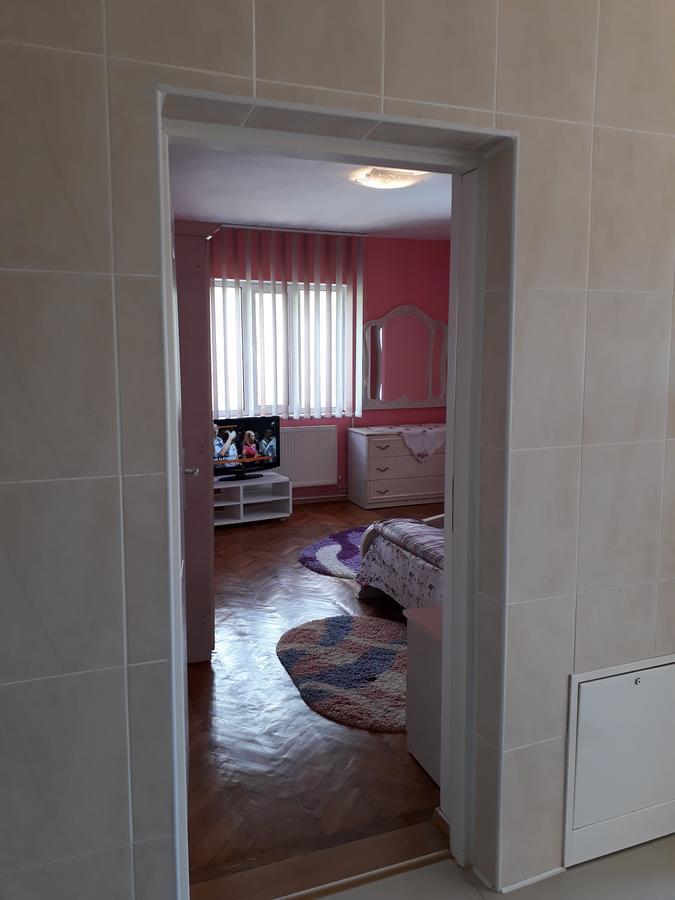 Casa Ade Apartment Calimanesti Luaran gambar