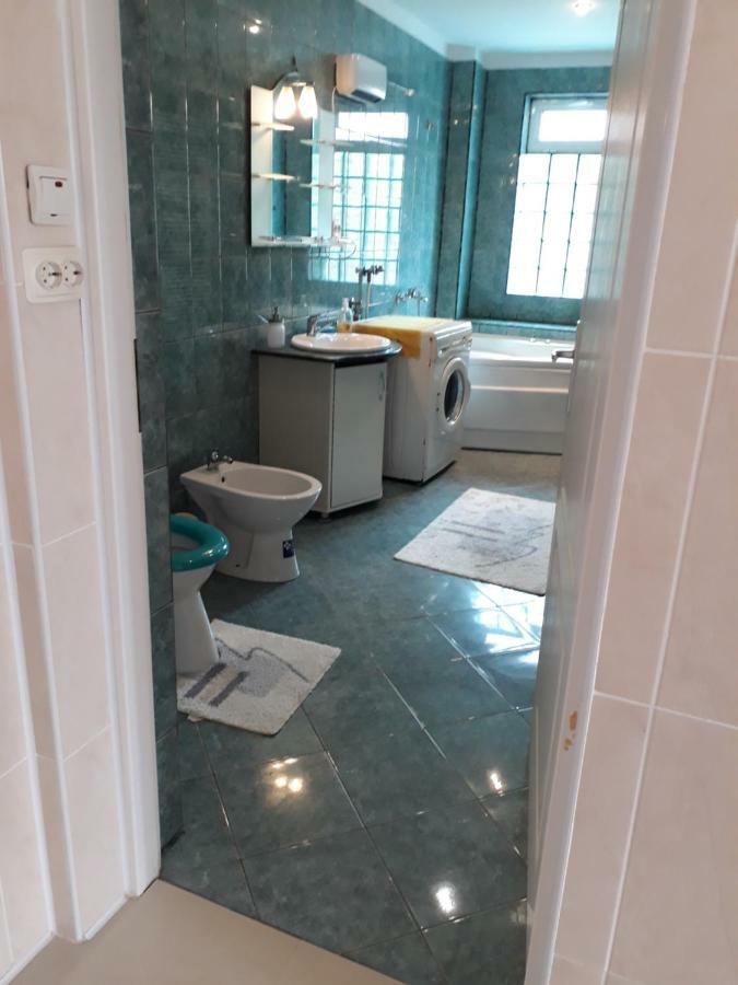 Casa Ade Apartment Calimanesti Luaran gambar