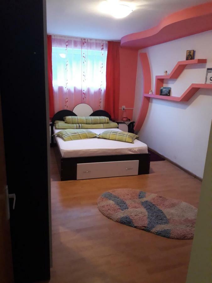 Casa Ade Apartment Calimanesti Luaran gambar