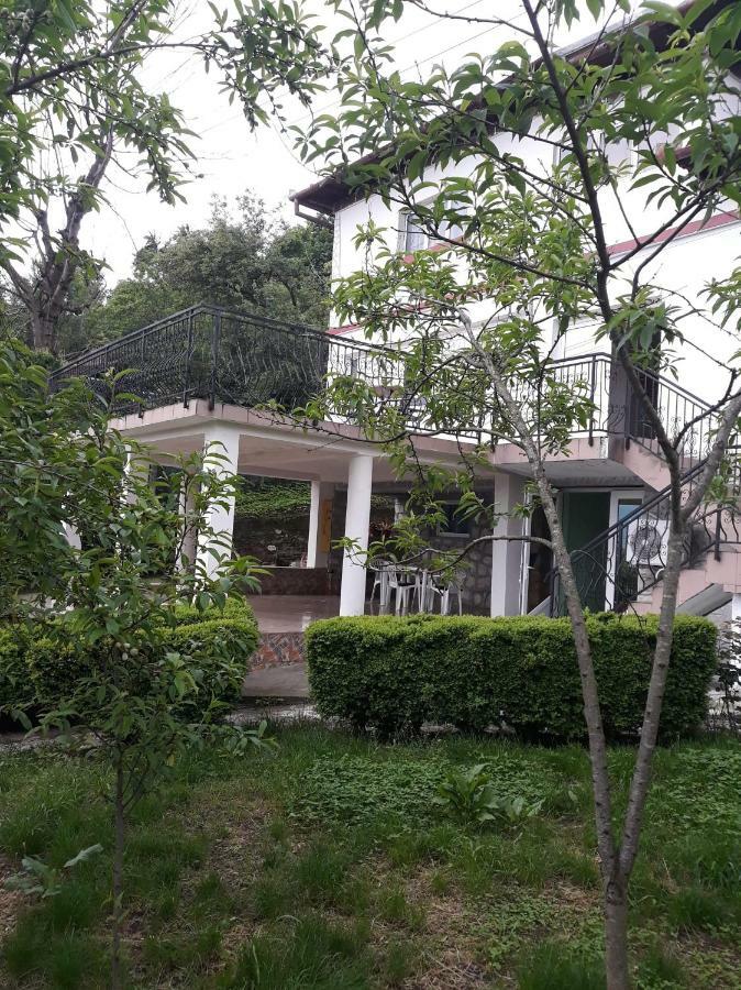Casa Ade Apartment Calimanesti Luaran gambar