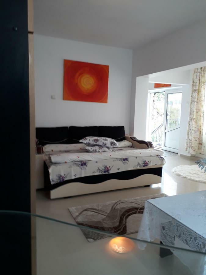 Casa Ade Apartment Calimanesti Luaran gambar