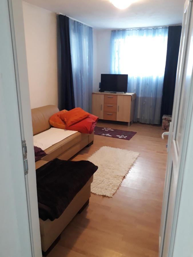 Casa Ade Apartment Calimanesti Luaran gambar